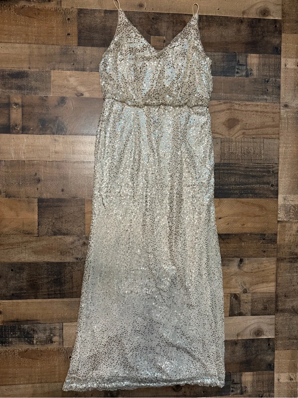 Adrianna Papell Sequin Evening Gown